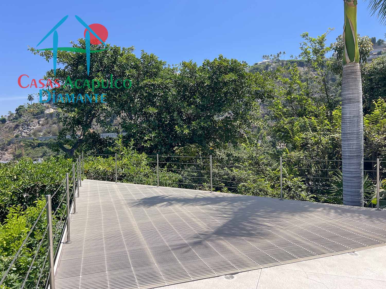 Casa Luna - Jardín y alberca 15